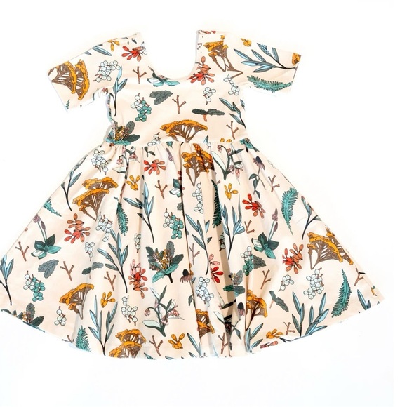 Alice + Ames Other - Alice + Ames Herbal Study Ballet Dress Toddler Girls 2T Botanical Twirl Dress